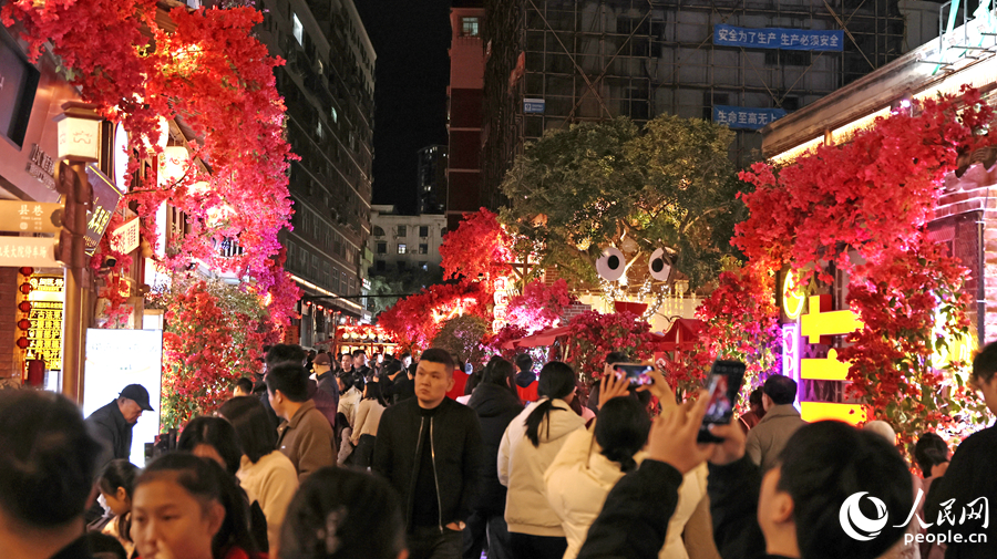 花燈似海，三角梅紅似火，熱鬧非凡。人民網(wǎng)記者 李昌乾攝