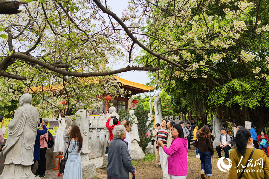 游人紛至沓來，享受鬧中取靜的春日美好時光。人民網(wǎng)記者 陳博攝