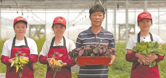 莊家寶蔬菜專業(yè)合作社的生態(tài)特色農(nóng)產(chǎn)品。受訪單位供圖